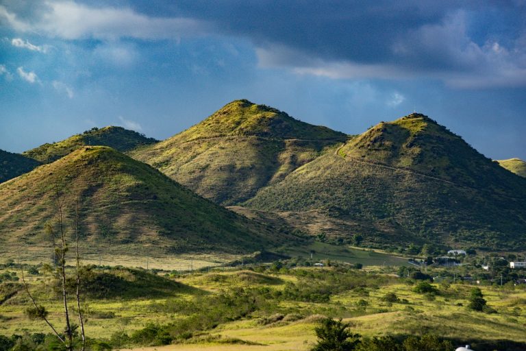 Unlocking the Hidden Value of Undeveloped Land for Profit