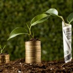 Top Sustainable Investment Strategies for 2025
