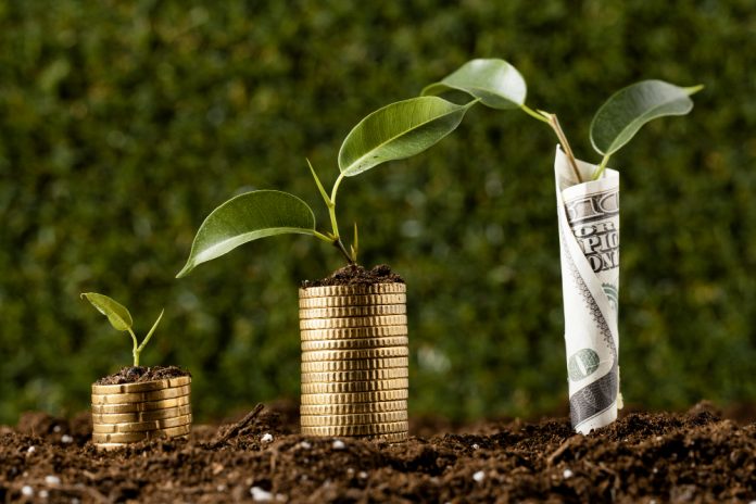 Top Sustainable Investment Strategies for 2025