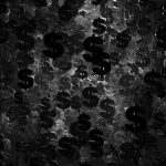 US-Russia Peace Negotiations Spark Market Rally and Dollar Decline