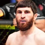 Magomed Ankalaev Fight