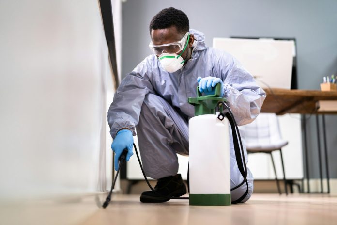 Pest Control Guide: Key Signs You Have a Pest Problem and Need Help