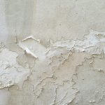 DIY or Professional Damp Proofing? What You Need to Know