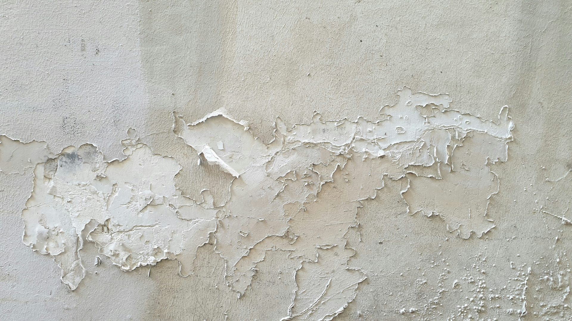 DIY or Professional Damp Proofing? What You Need to Know