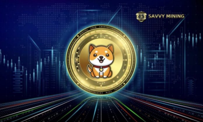 SAVVY MINING