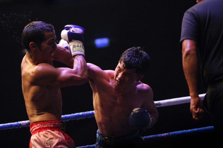 Game Developers Punch Up the Action with New Boxing-Themed Releases