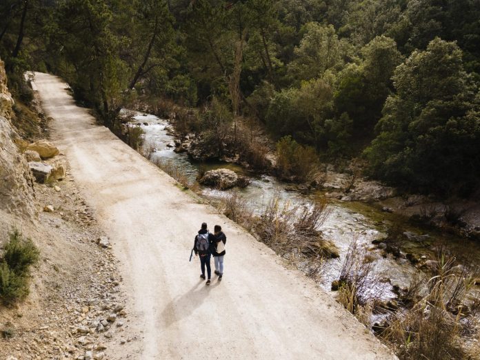 Camino de Santiago