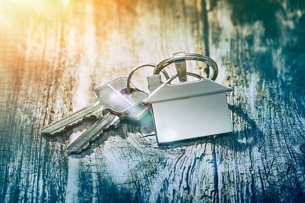 Cable Key Ring: Organized Business Travel Essentials