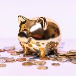 What Are Self-Managed Retirement Funds and How Do They Differ Worldwide?