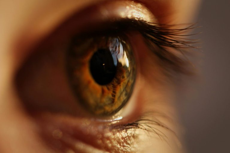 Lash Treatment Trends Highlight Growing Focus on Non-Invasive Enhancements
