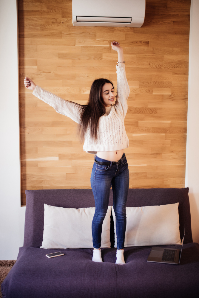 What Is a 3-Zone Mini Split System?