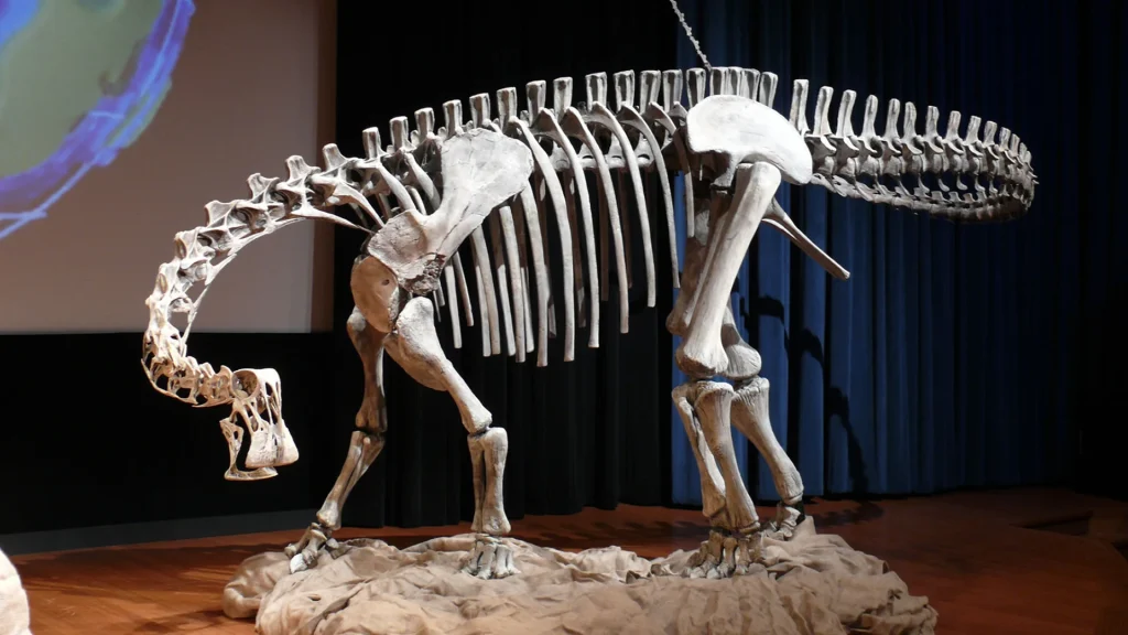 Nigersaurus