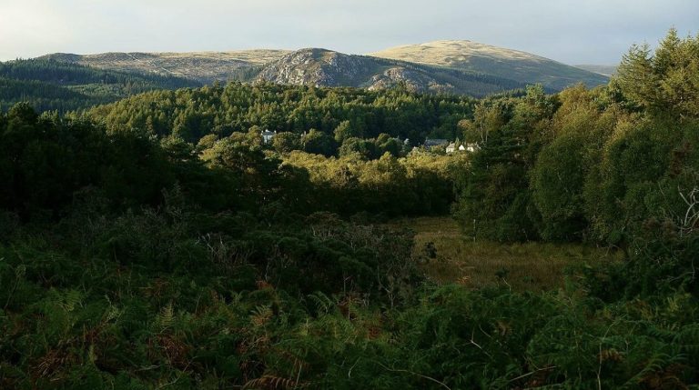 Escape to Nature: Car-Accessible Campsites Across the UK