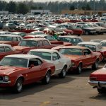 A row of Ford Maverick pickup trucks parked at a dealership, with a focus on a red Maverick in the foreground under bright daylight.