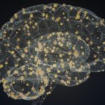 How Your MyIQ Score Can Improve Financial Decisions