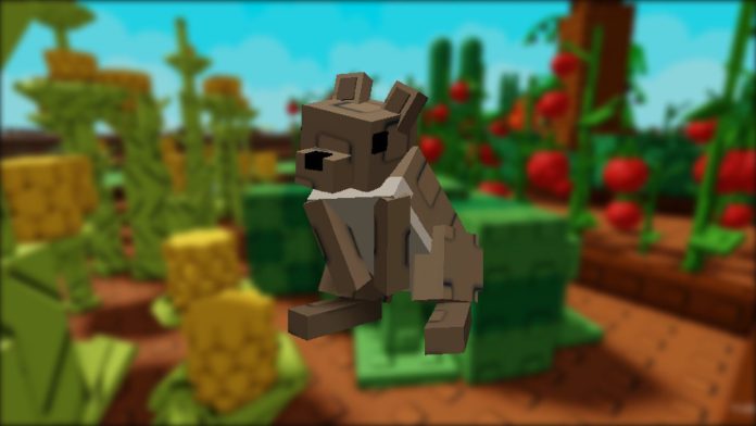 Everything to Know About the Squirrel in Grow a Garden