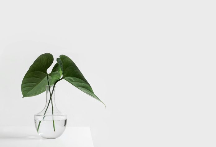 The Shift to Flexible Mental Health Spaces
