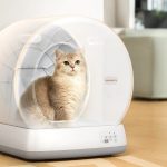 Cat Safety First: How to Use Automated Litter Boxes Properly