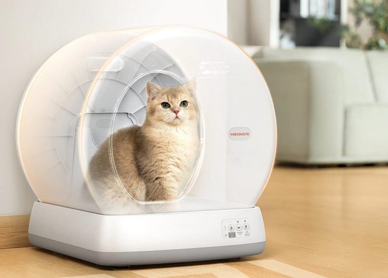 Avoid Risks Using Automatic Kitty Litter Boxes Safely
