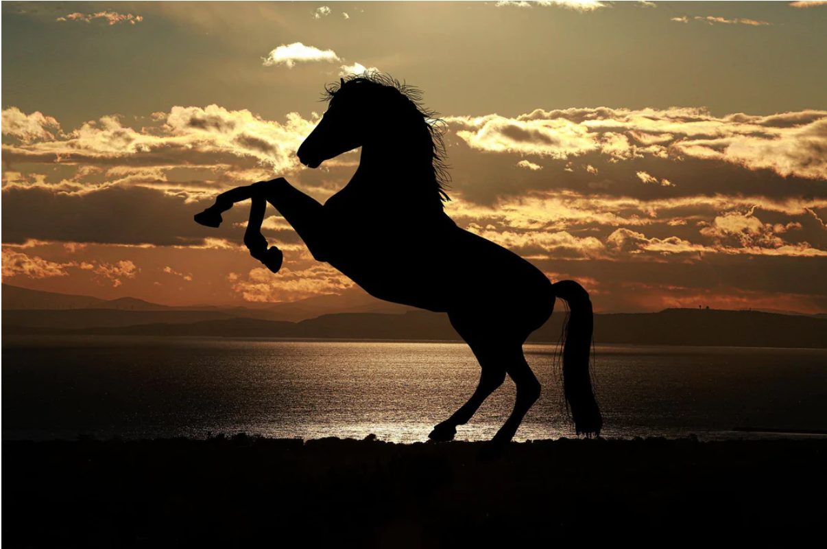 The Spiritual Power of the Horse Zodiac