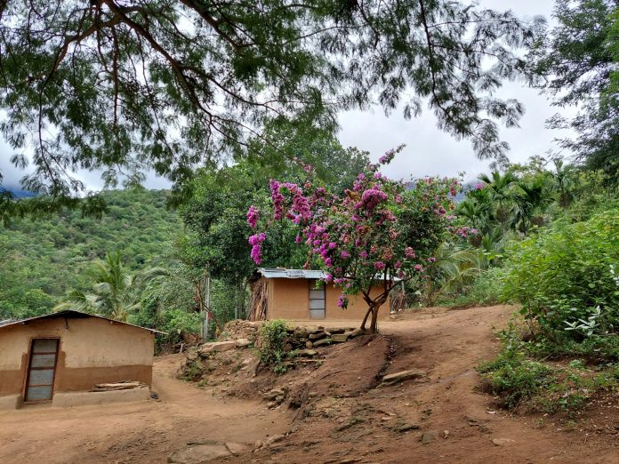 Bridging the Healthcare Gap in India’s Villages with AI
