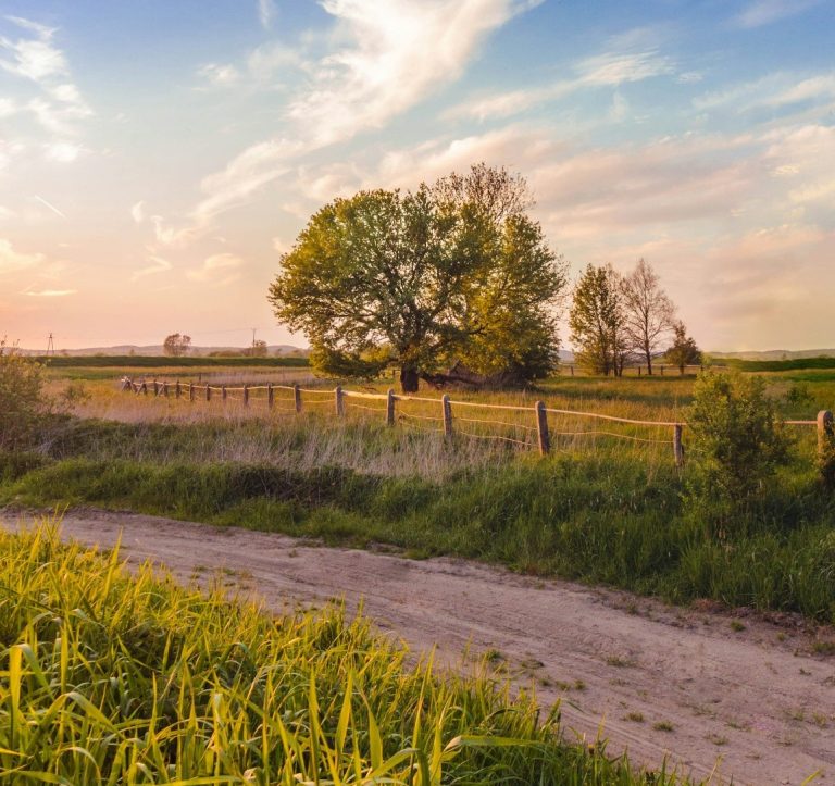 The Road Less Taken: Unlocking Travel Stories Through Regional Routes