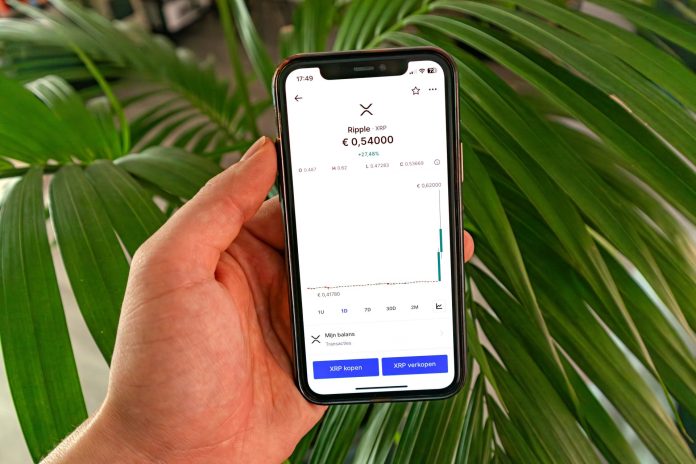 Free XRP Calculator Guide 2025: What to Look For