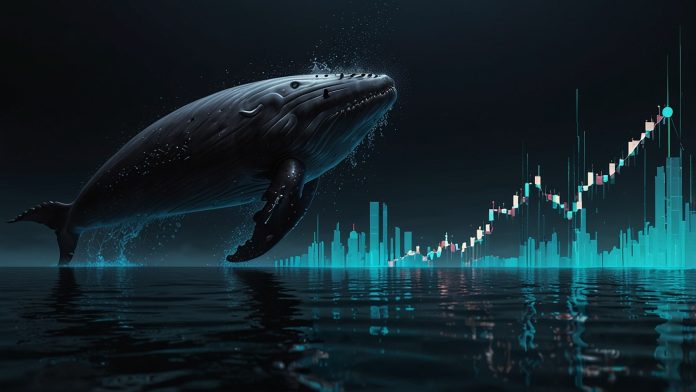 Graphic depicting Ethereum whale borrowing USDT from Aave and accumulating ETH in high-value trades November 2025