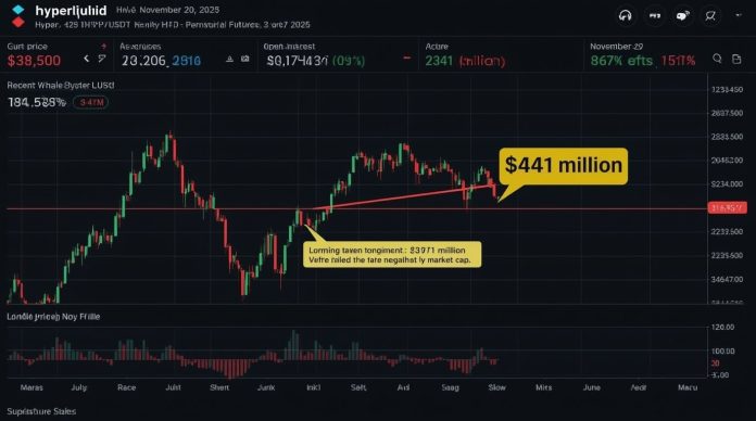 Hyperliquid HYPE token price chart showing 3% dip on November 20 2025 with whale buyback activity and upcoming token unlock highlighted in red