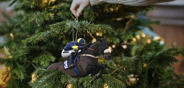 Racehorse share ownership: Last-minute Christmas gift from £25 with Racing Club