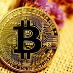 A bitcoin with a purple flower on a woven surface