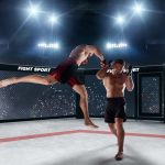 Seth rollins bray wyatt hell in a cell