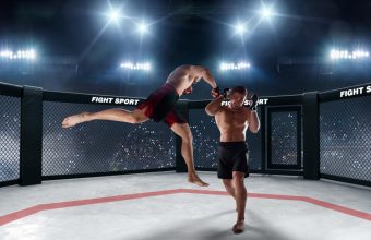 Seth rollins bray wyatt hell in a cell