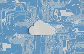 The World Transformation Movement