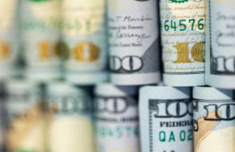 shani wallis net worth