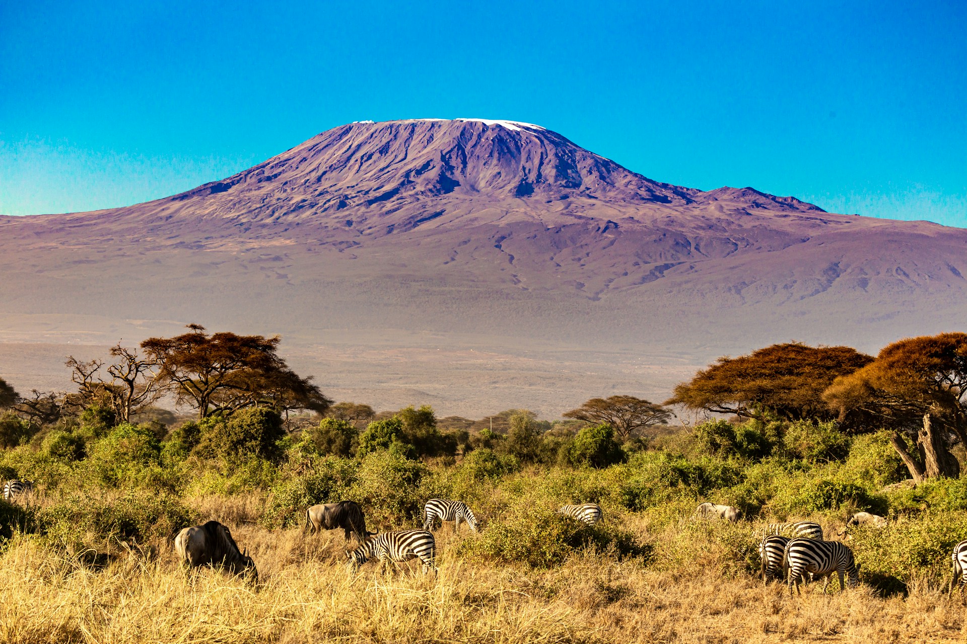Reaching the Roof of Africa: A Guide to the Best Routes for Climbing Kilimanjaro