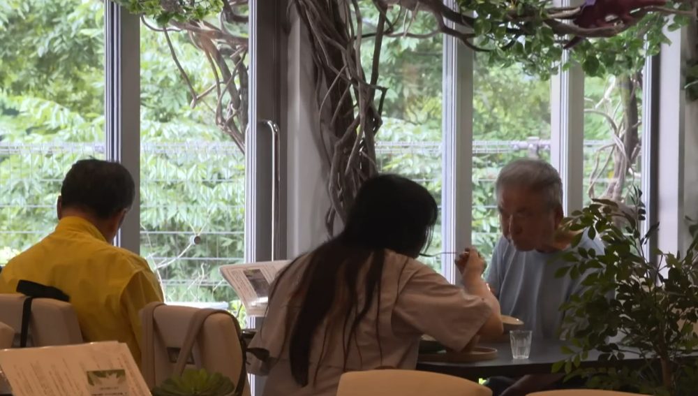 The Silver Economy Boom: How the 65+ Demographic is Dictating Global Consumption Trends