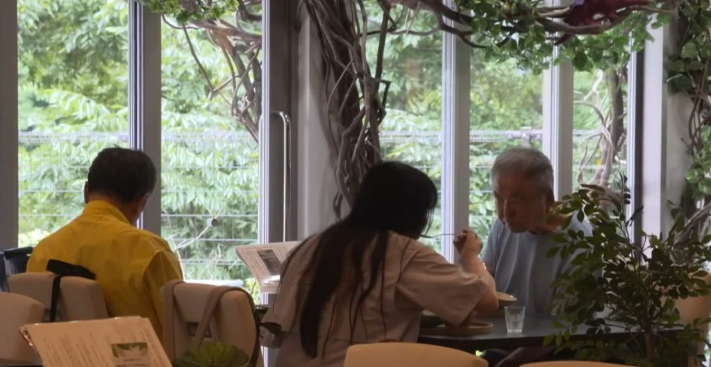 The Silver Economy Boom: How the 65+ Demographic is Dictating Global Consumption Trends The Silver Economy Boom: How the 65+ Demographic is Dictating Global Consumption Trends