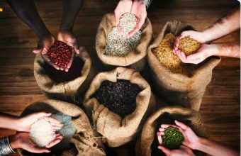 The Food Protectionism Era , Why Nations Are Hoarding Grain and Triggering Global Price Shocks