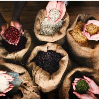 The Food Protectionism Era , Why Nations Are Hoarding Grain and Triggering Global Price Shocks