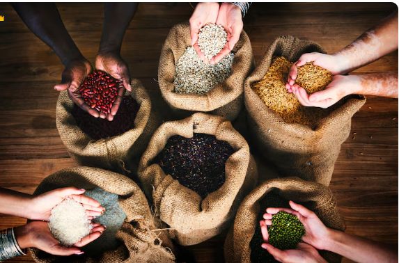 The Food Protectionism Era , Why Nations Are Hoarding Grain and Triggering Global Price Shocks