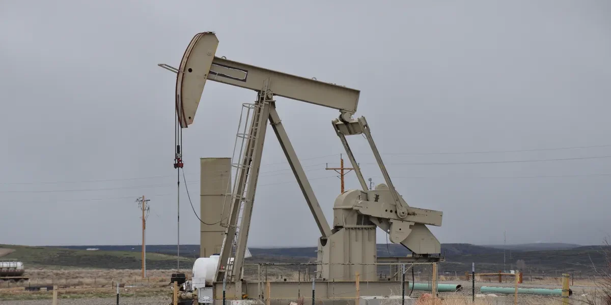 Shell and BP dividends