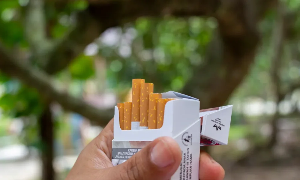 British American Tobacco dividend