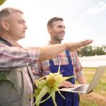 Uk Farming Brexit Trade Deals