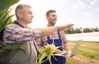 Uk Farming Brexit Trade Deals