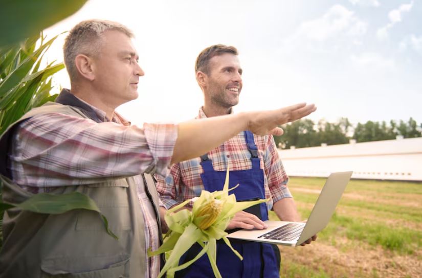 Uk Farming Brexit Trade Deals