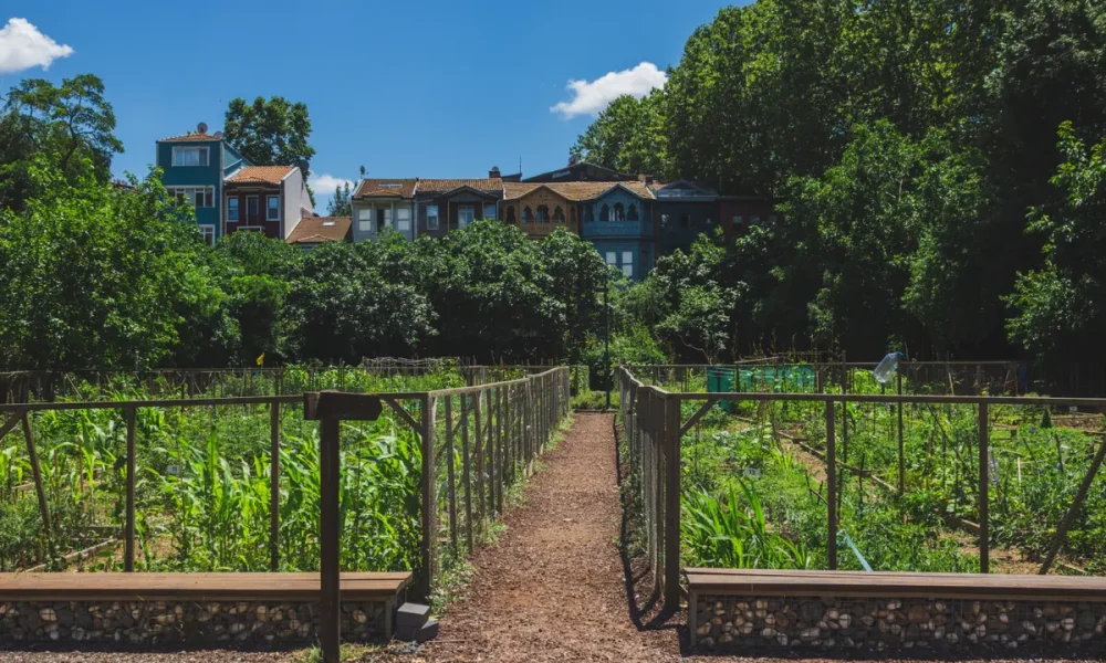 selling part of your garden