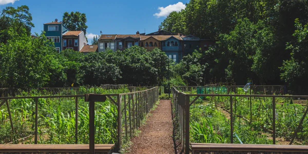 selling part of your garden