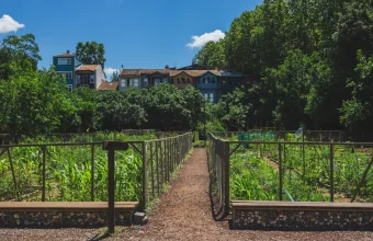 selling part of your garden