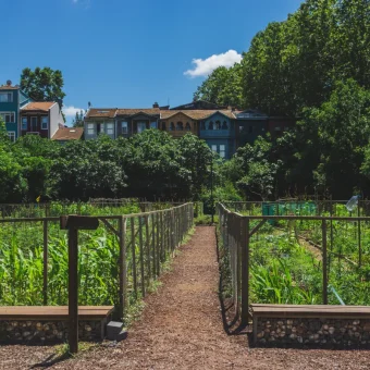 selling part of your garden